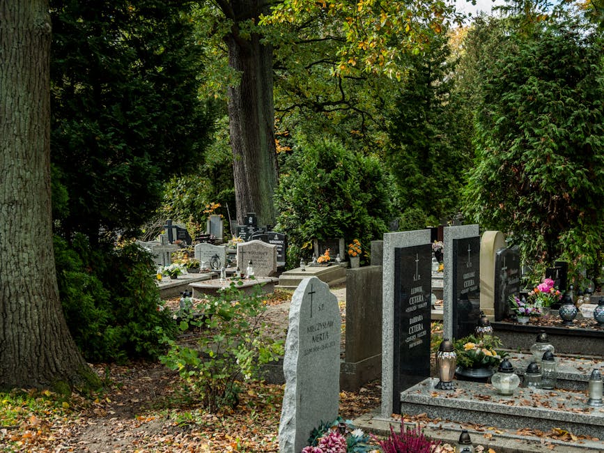 A serene cemetery scene with multiple gravestones surrounded by lush green trees and shrubs. The gravestones vary in shape and material, including polished black granite and light gray stone, some eng