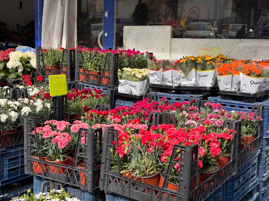 An outdoor display of fresh flowering plants arranged in black plastic crates outside a flower shop, featuring blooming pink, red, white, yellow, and orange flowers in terracotta pots. The flowers app